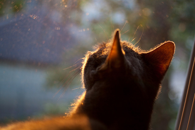 当哈登翻开后撤步课本，山西队正用钢笔画上团队战术的惊叹号