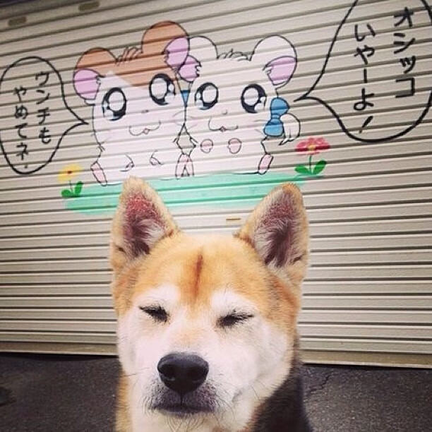 一场比赛，两种文明，北京队的钢铁洪流与塔图姆的孤星爆发