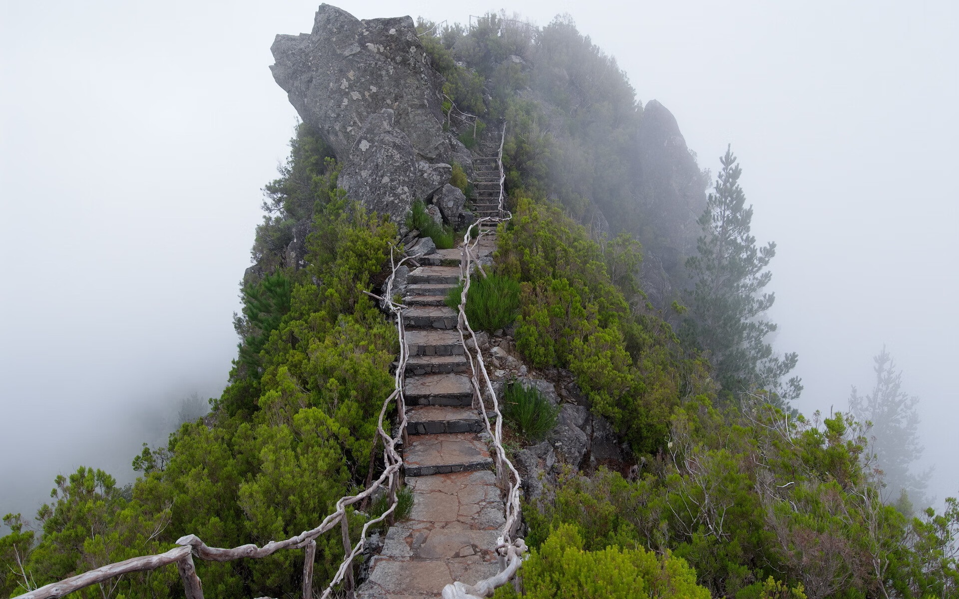 开云APP-沙漠与雪山的较量，2026世界杯E组，梅西导演的紧凑史诗